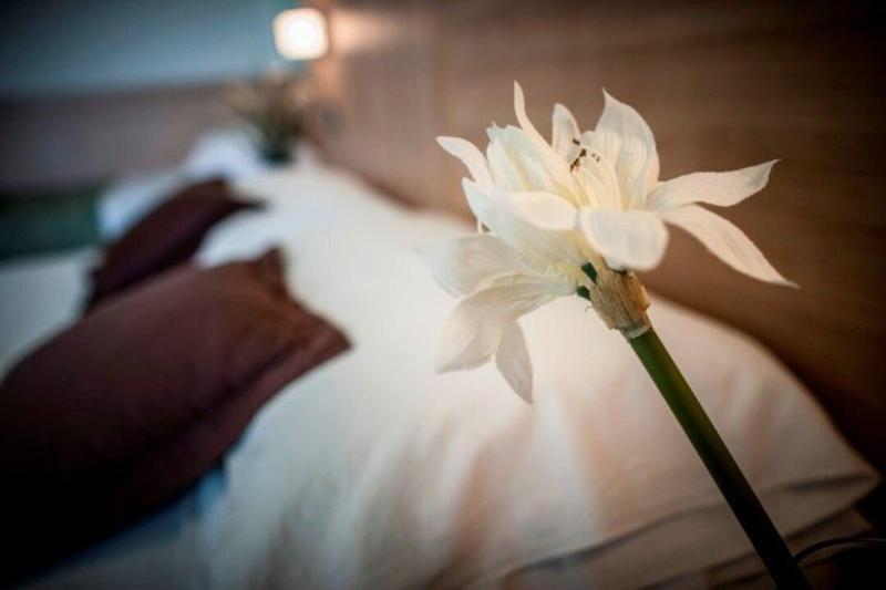Hotel Amalfi - Smart Hotel Riccione Dış mekan fotoğraf